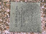 image of grave number 684276